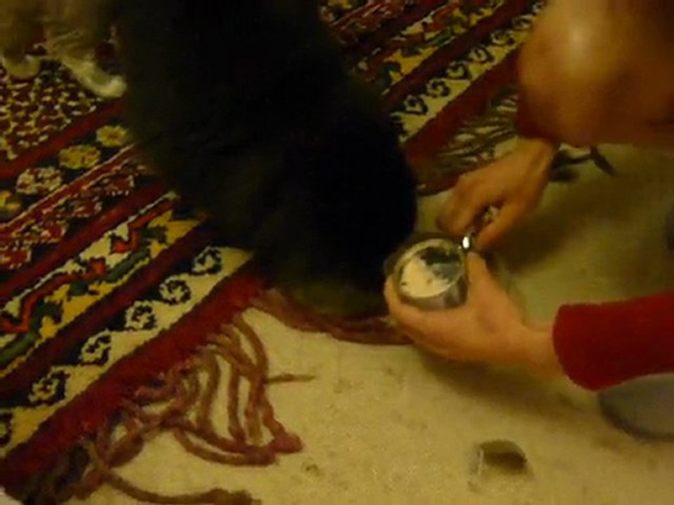 Repas de fête pour Noël 2009