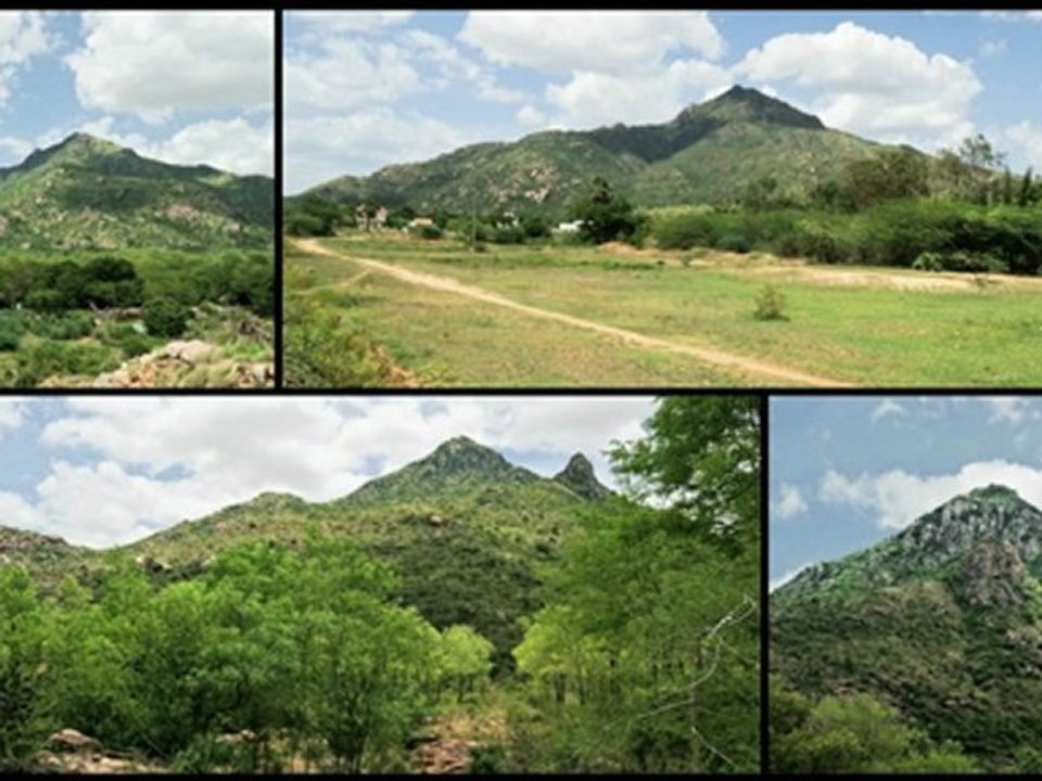 Falling into a hole in Tiruvannamalai by Mooji