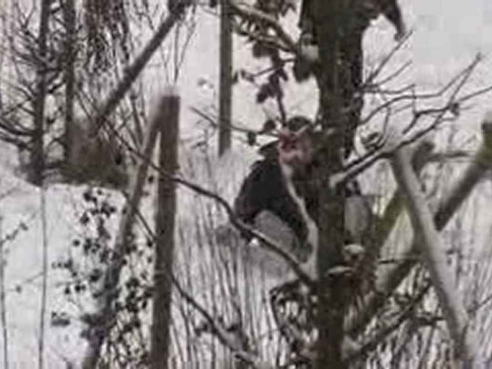 MDR LA DESANTE