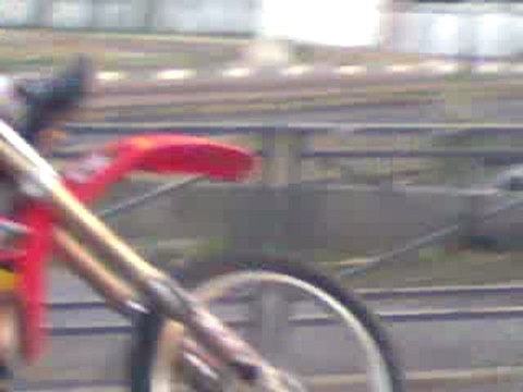 SEVRAN BEAUDOTTES DEFILE DE CRF !!!!