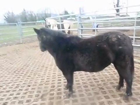 Dakota , ma ponette shet' :)