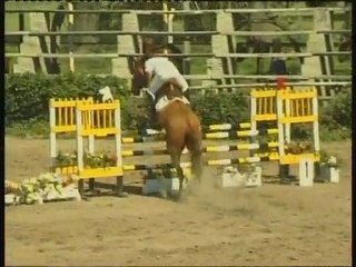 Agustin Lera - Ser Lirio