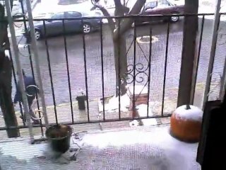 Hot Angry Asian on New Years Eve