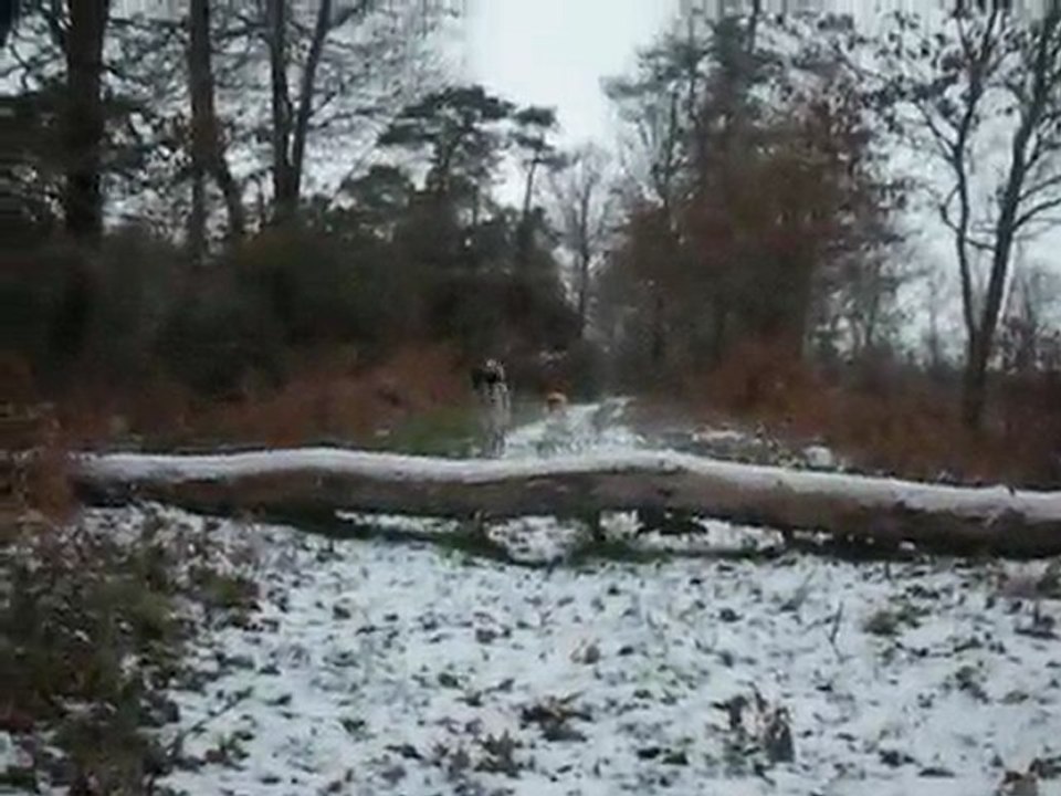 toto ninou neige 2