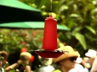 INTERCONTINENTAL COSTA RICA Discover