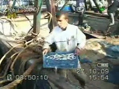 arrivée des chalutiers el-kala