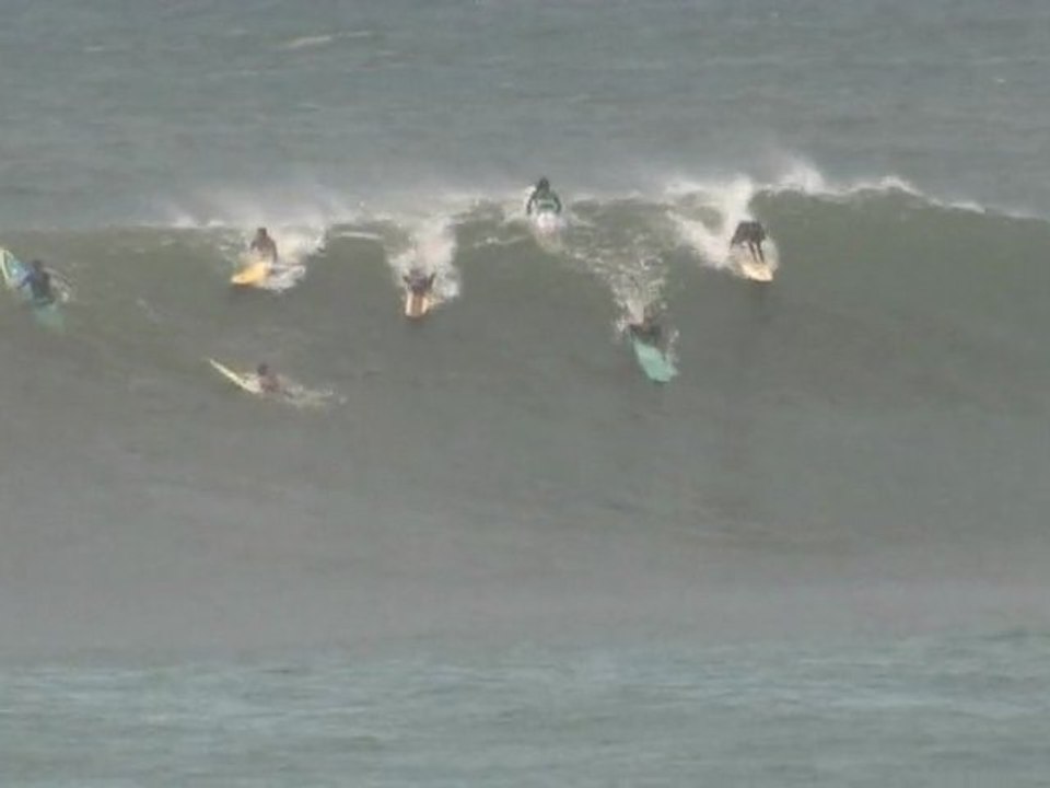 WAIMEA BAY - FREESURF