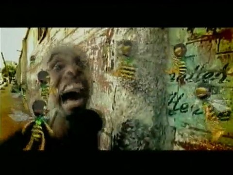 Juan Luis Guerra - Las Avispas