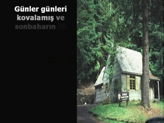 ---KAVAK AĞACI İLE KABAK---