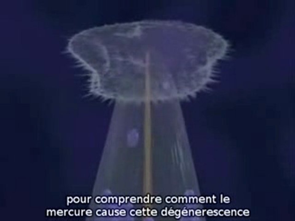 effets du mercure sur les neurones S/T