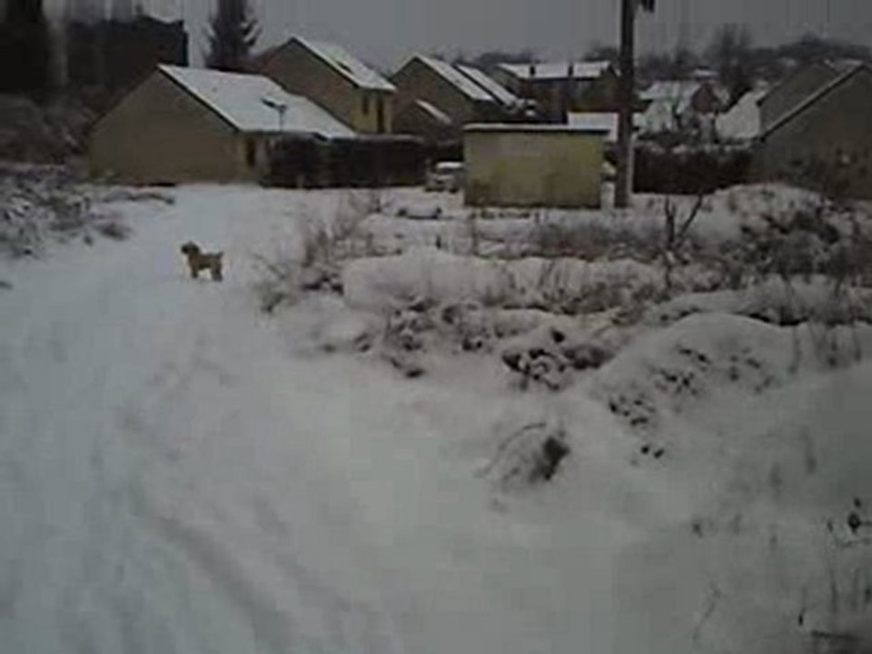 SCOOBY DANS LA NEIGE 2
