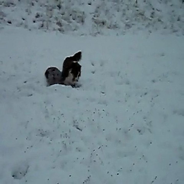 Estive découvre l'excitation de Bougnat dans la neige