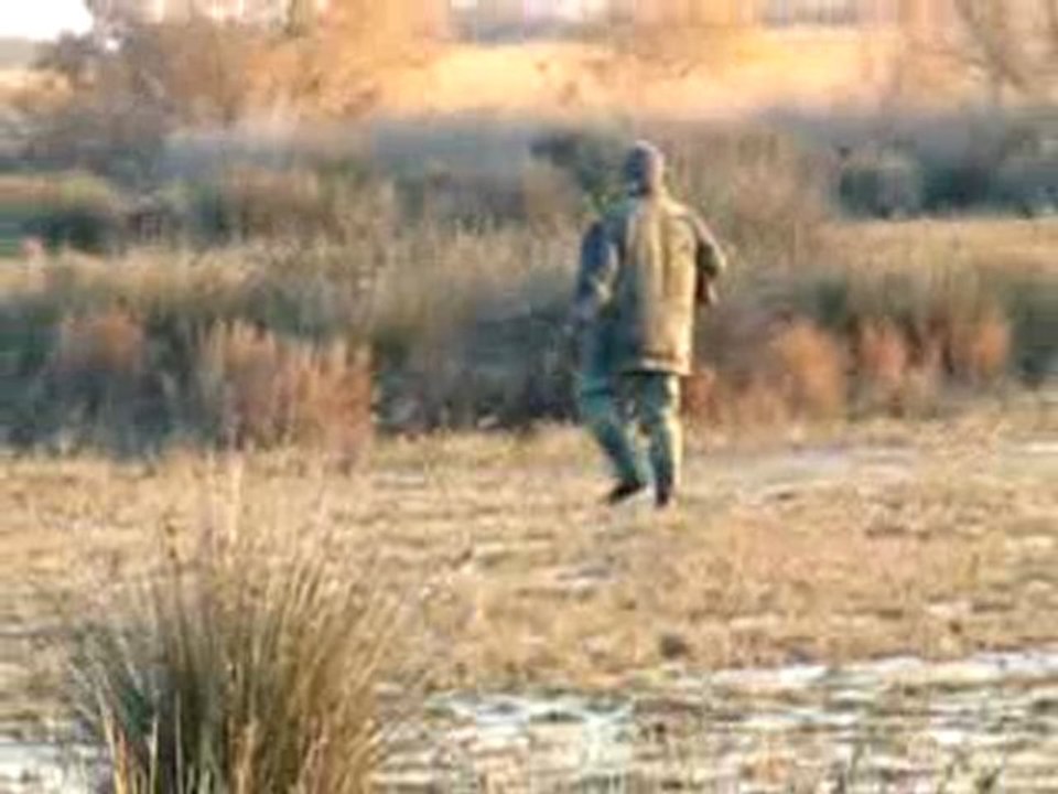 Chasse EN CAMARGUE ( VIDEOS) N°2