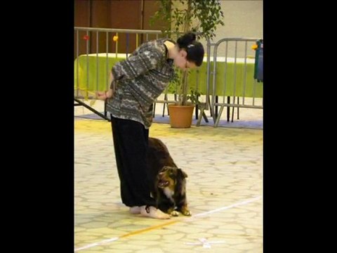 Concours d'Obé Rythmée à Compiegne