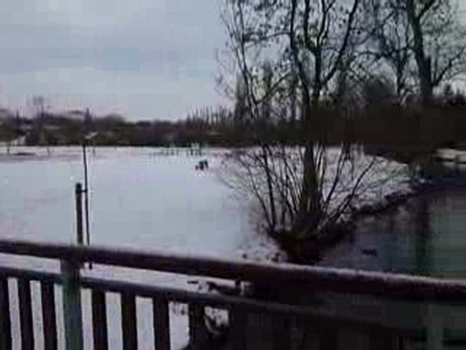 La prairie et le son des cloches