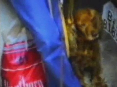 Romanian Revolution Live TVR - 22 Dec.1989.cd.28