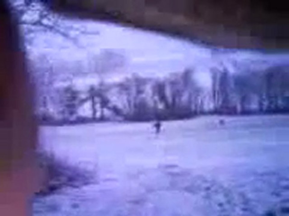 Noux a la neige