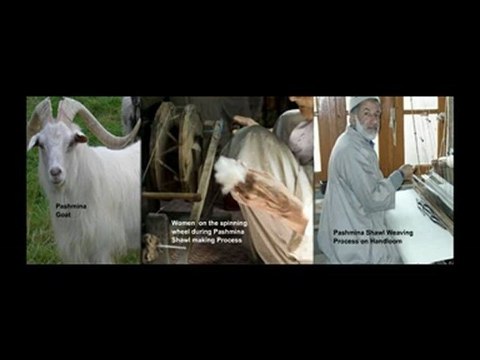 Pure Authentic Orginal Pashmina Shawls and Scarves