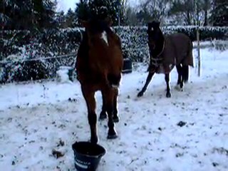 1, 2, 3 Soleil! 🏃‍♂️