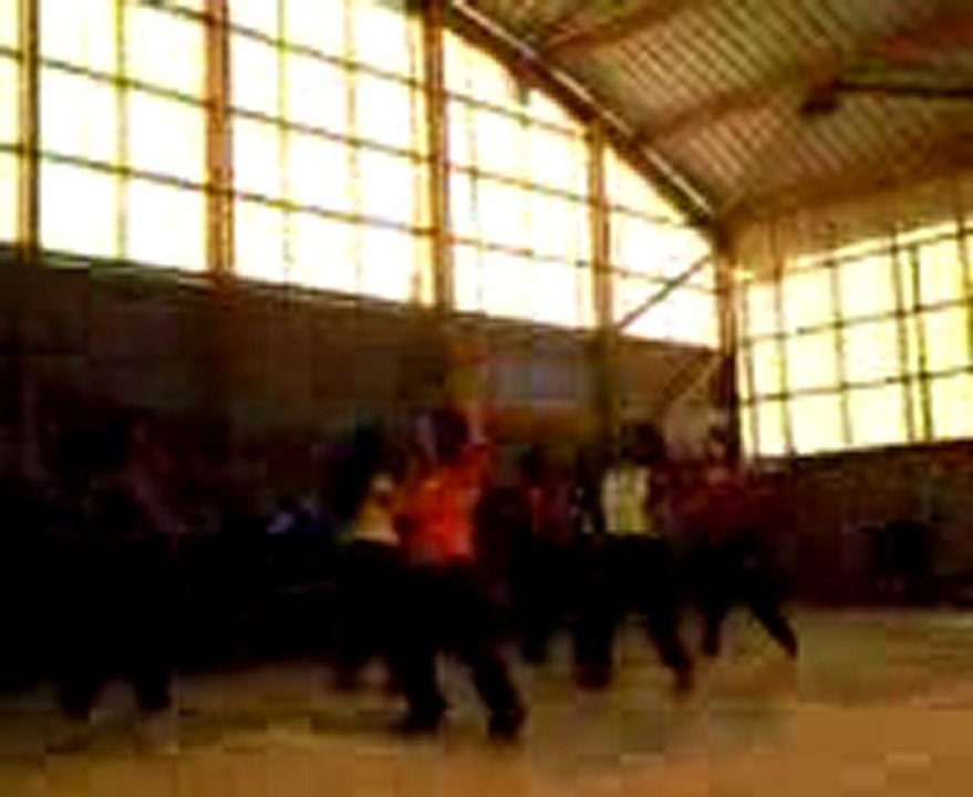 DANSE