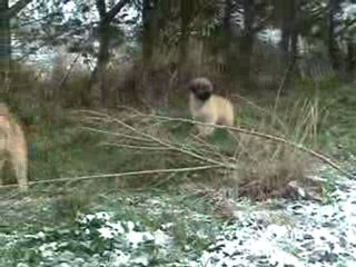 Ellay et Eau Vive découvrent la neige