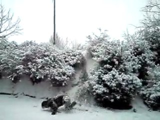 vive les chutes dans la neige