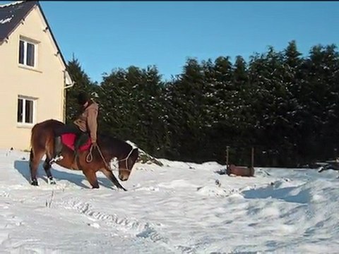 3 jours de neige avec les chevaux