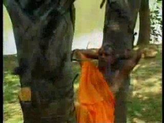 Habib Wahid - Maya - Mon Mojaiya