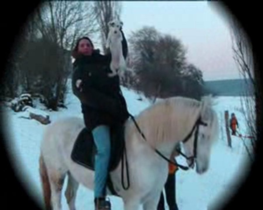 balade dans la neige