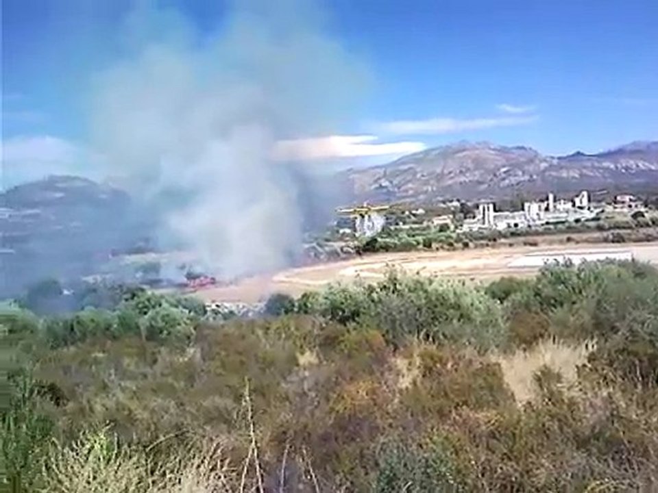 feu calvi