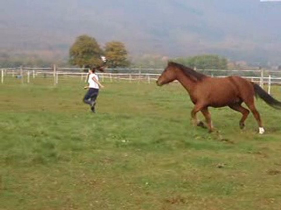 Free style