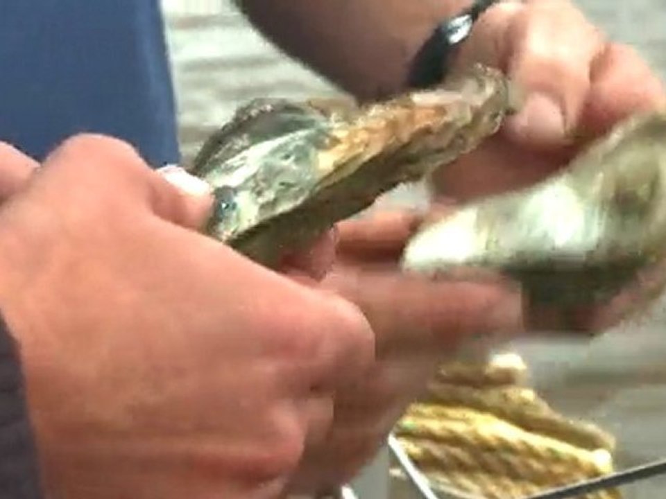 P.E.I's Famous Oysters, Salutation Cove - Prince Edward ...