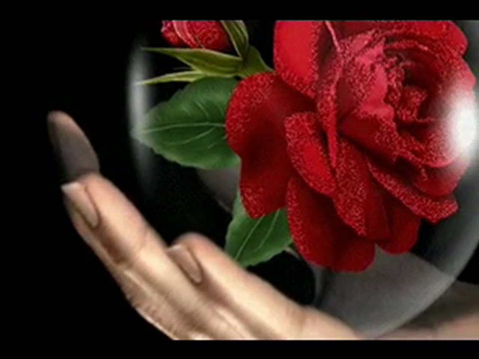 CELIN DION $ BEE GEES