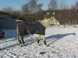 Eliott - 19 décembre 2009