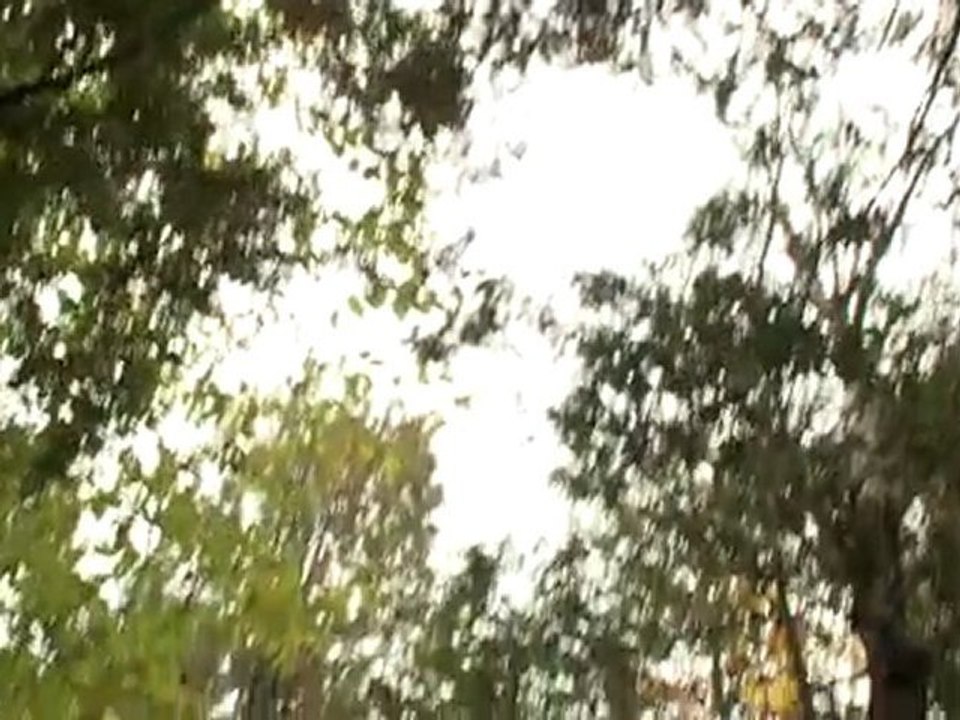 Le marais de la rivière-aux-cerises - Magog, Québec, Canada