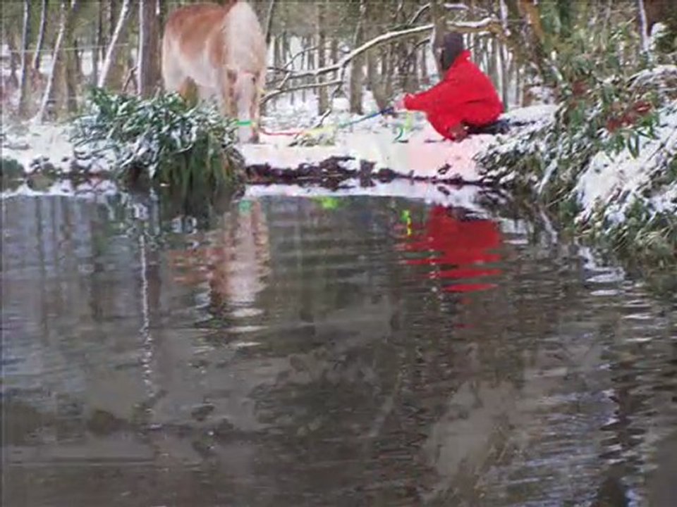 neige vendredi