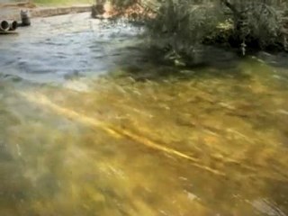 INTERCONTINENTAL RESORT AL AIN Discover