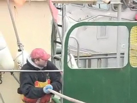 Coast Guard Tows Fishing Vessel - includes interviews