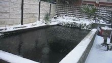 koi      Rene_koi vrijver  de  sneeuw