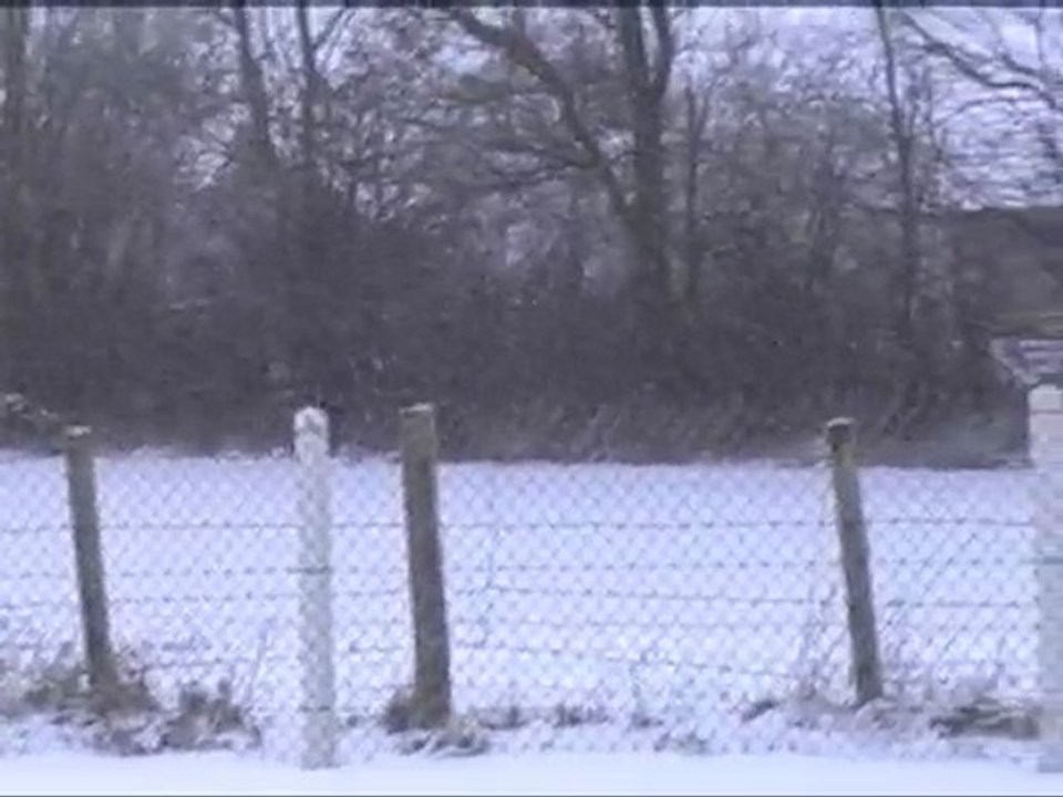 Neige1