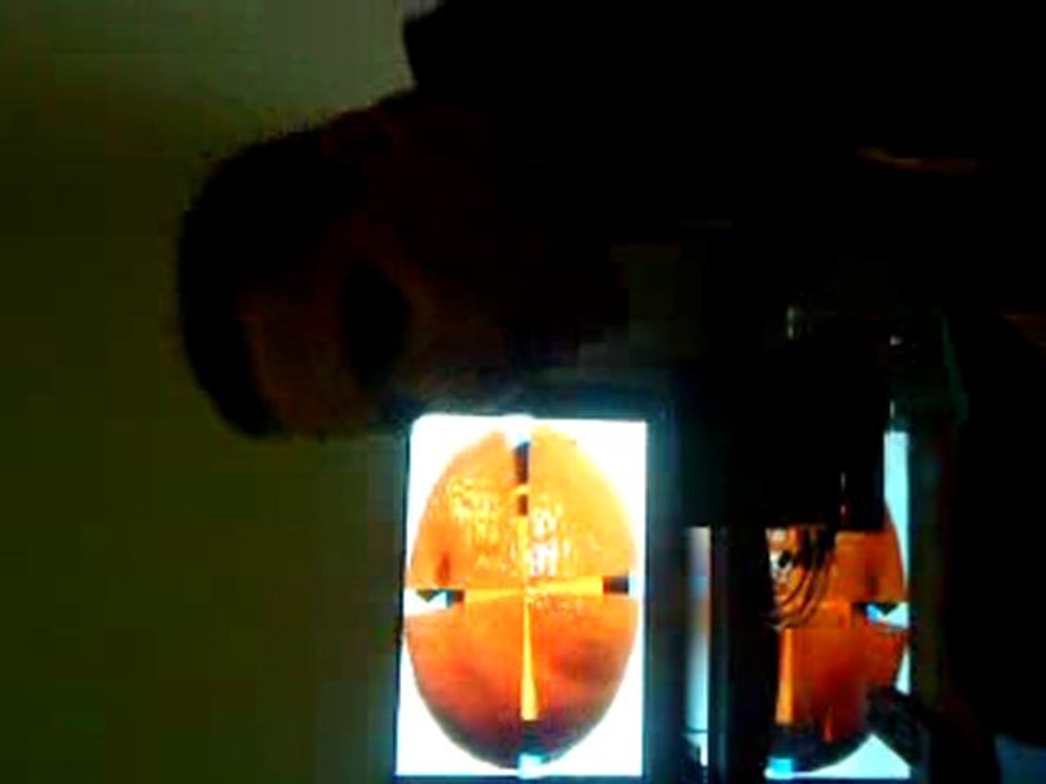 Petite mandarine bidoubidou yoiiiiiii  mdr