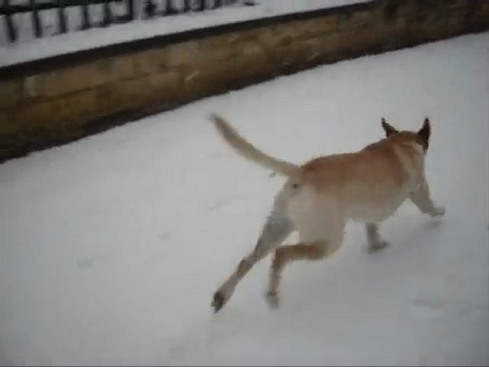 Prince [20 décembre 2009]