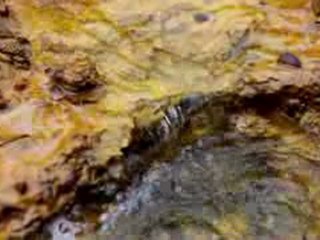 Kootenay National Park - British Columbia, Canada