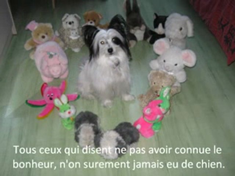 Happy.. mon chien ! =D