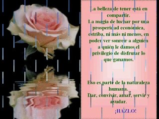 Video 90 EL SECRETO en youtube, pelicula, video, dvd, tv