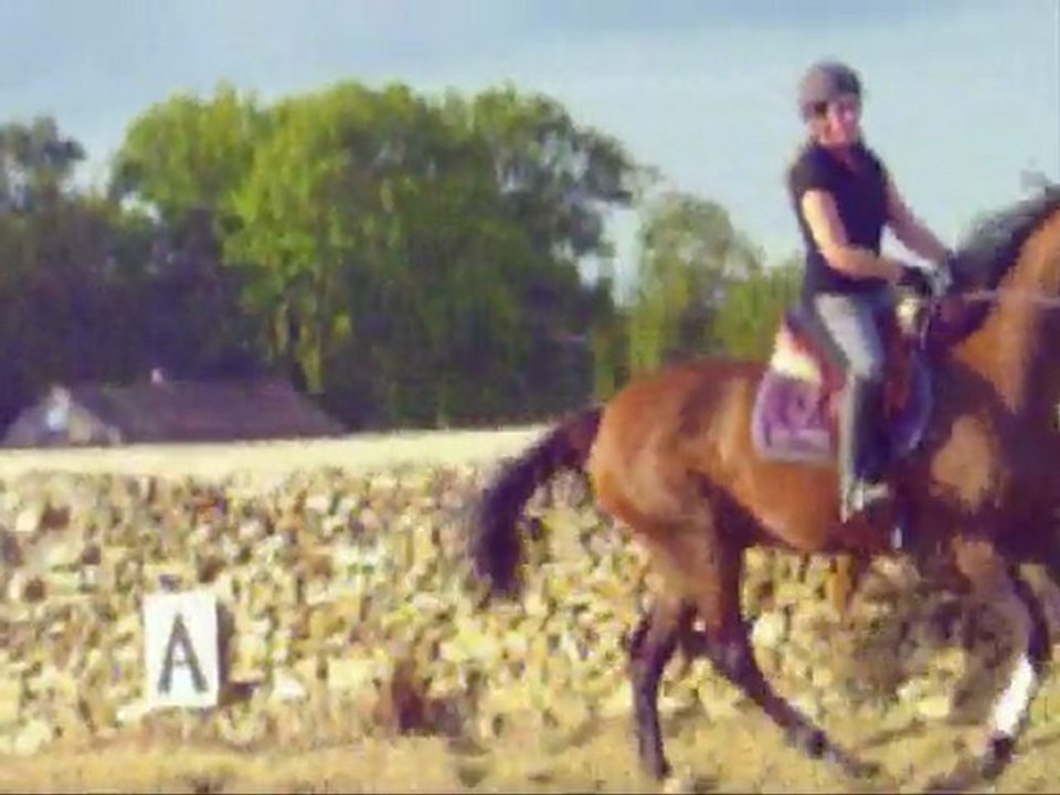 Car tout a commencé par un rêve