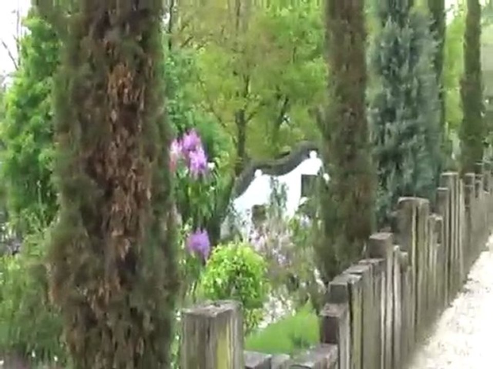 paradisio