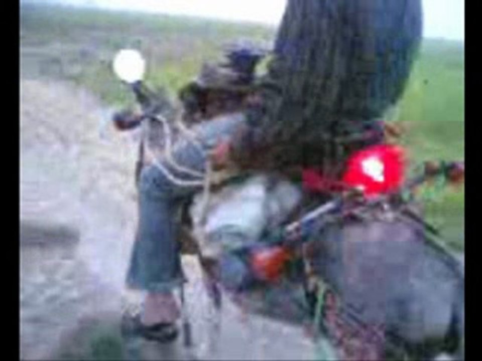 Modern hmar  de   www.bnat-chat.com