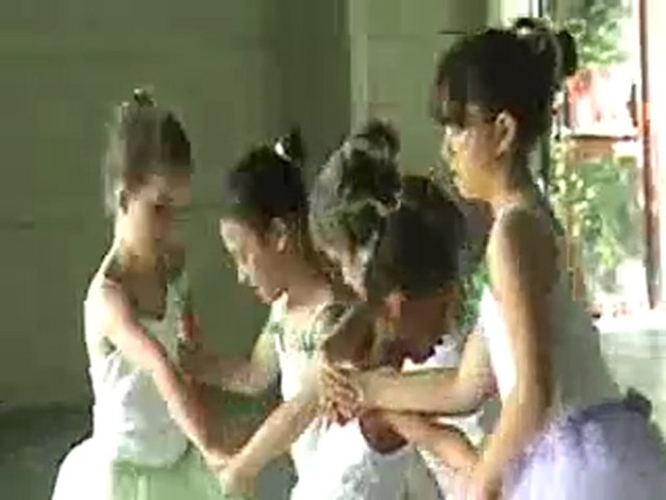 Le carnaval des fleurs Gala juin 2009 Boussy Roller Club