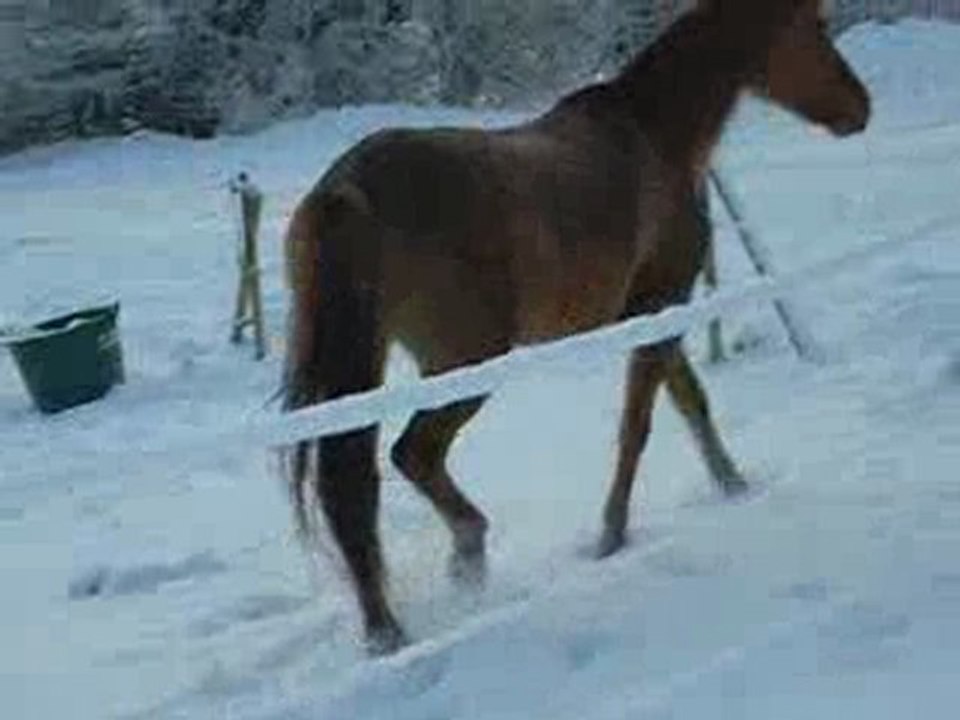 Hiver 08 KANDIE